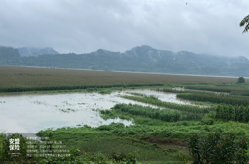 南充保險(xiǎn)業(yè)開(kāi)展防汛救災(zāi)理賠工作2.png